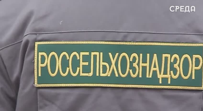 Россельхознадзор Дагестана вернул 41 тонну некачественных фруктов