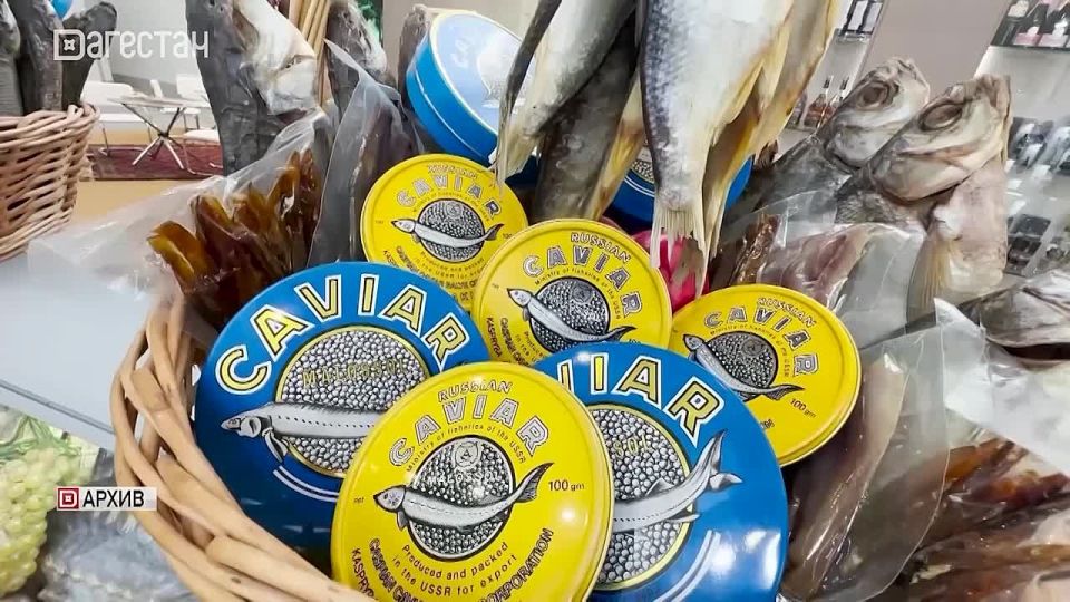 Уникальные сыры, целебные травы и знаменитый урбеч — всё это Дагестан!