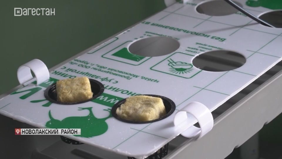 Животноводство, садоводство, ветеринария и технологии переработки сельхозпродукции