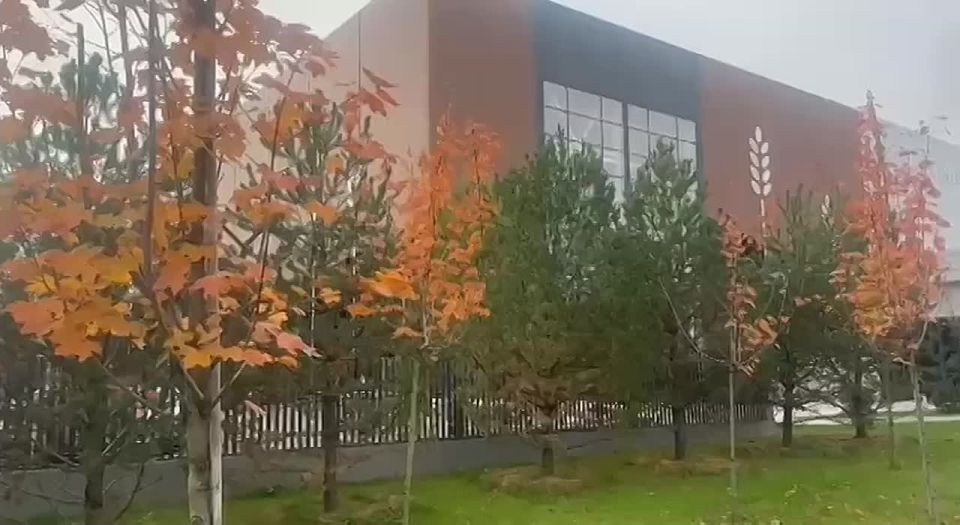 Очередь за дагестанскими продуктами выстроилась на выставке «Золотая осень» во второй день