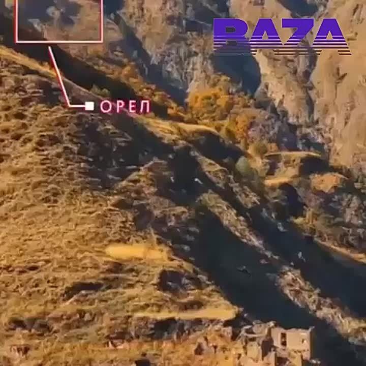 Орел «сбил» FPV-дрон в горах Дагестана – хищник перепутал квадрокоптер блогера с добычей