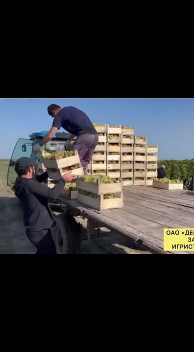 Депутат Магомед Саадулаев направил гуманитарную помощь раненым бойцам СВО в Курск и Луганск