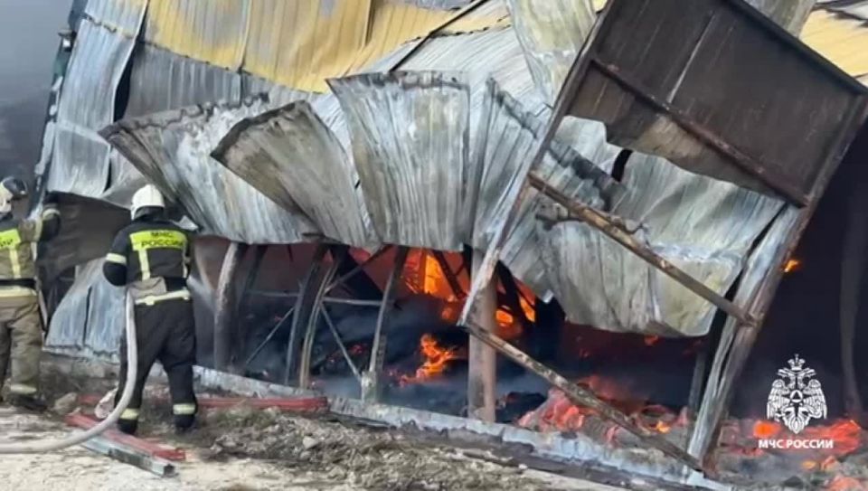 Кадры с места тушения пожара в Карабудахкентском районе