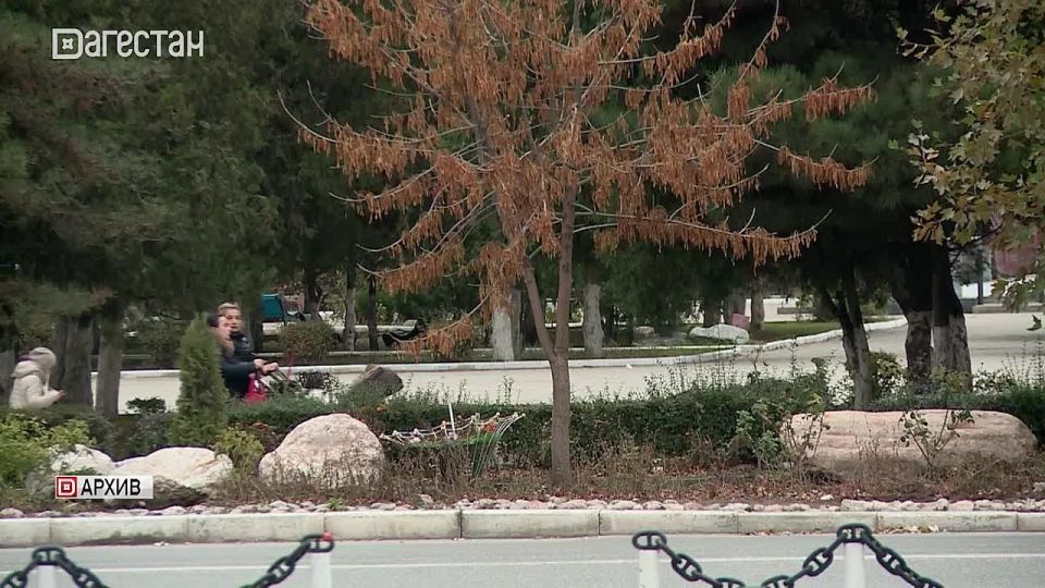 Организация накопила долг свыше 85 миллионов рублей