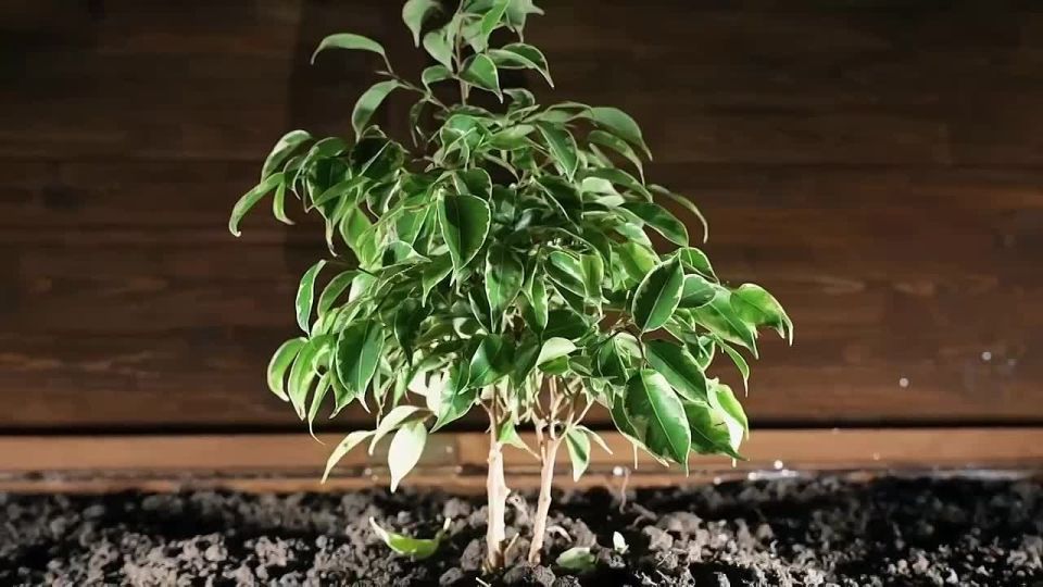 В Дербенте открылось для доступа подземное водохранилище X–XI веков