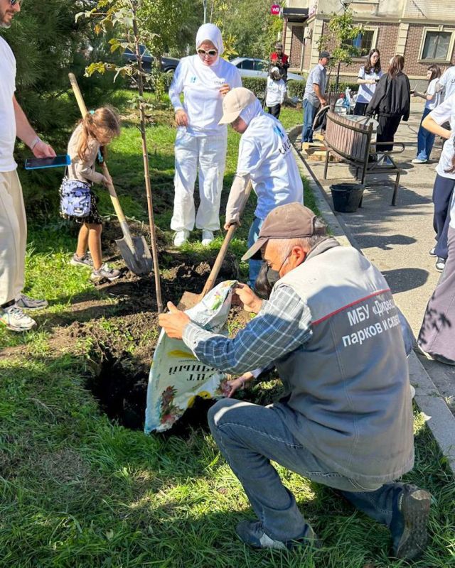 В сквере Петра I, вдоль домов 39-49, состоялась акция по посадке саженцев кленов!