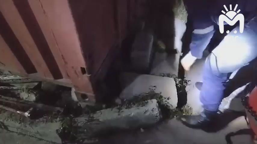 Собакен из Хасавюрта нажил проблем на свой хвост и провалился в яму