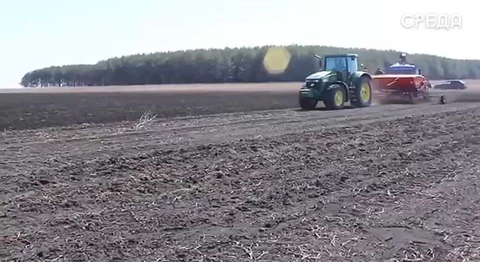 В Дагестане пресекли незаконную продажу 450 тонн зерна