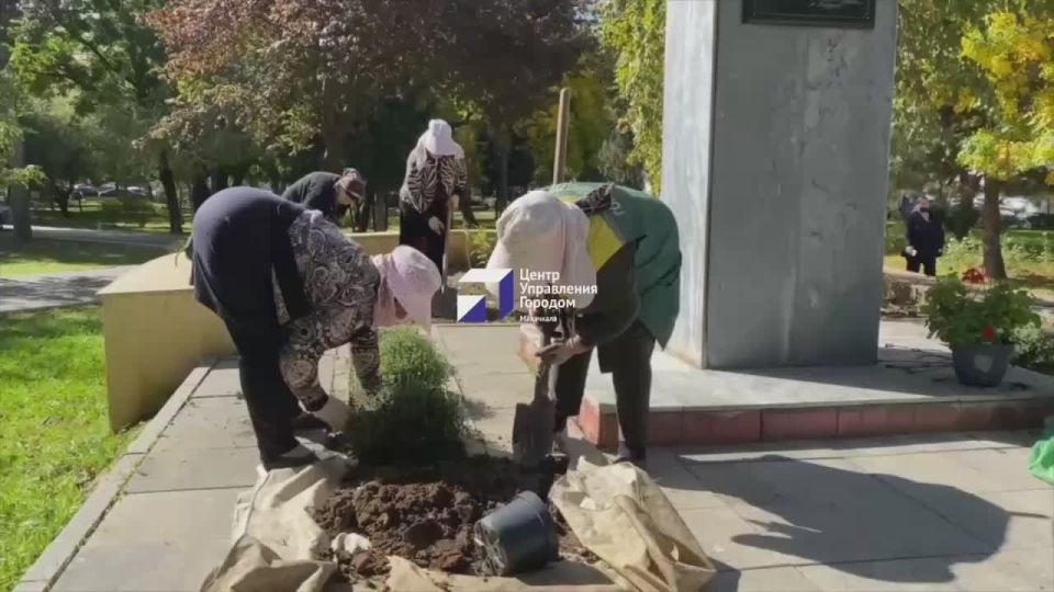 Сотрудницы дирекции парков и скверов Махачкалы провели комплекс работ по озеленению и благоустройству на территории сквера имени Фазу Алиевой