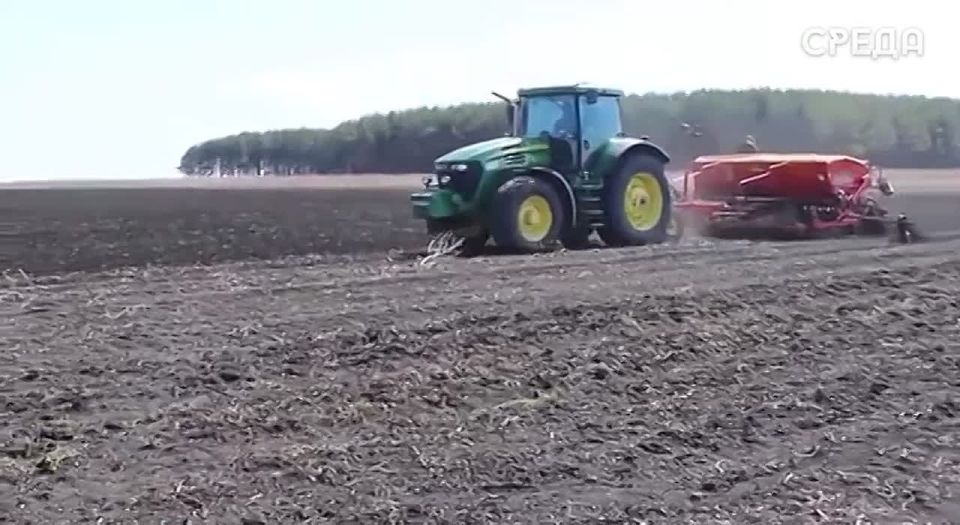 Россельхознадзор выявил свыше 400 нарушений на зерновом рынке Дагестана