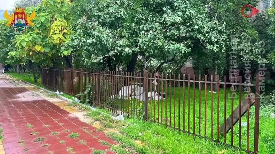 В столице продолжаются работы по освобождению городской территории от самовольно установленных объектов