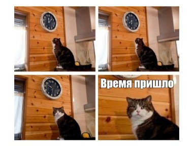   :    