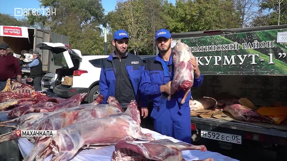 Ахтынские и магарамкентские яблоки и груши, душистый кайтагский мед, нежная баранина из Тляратинского района, рис и свежая рыба из Кизляра, самая аппетитная хурма, а также другие фрукты и овощи – все это могут приобрести...
