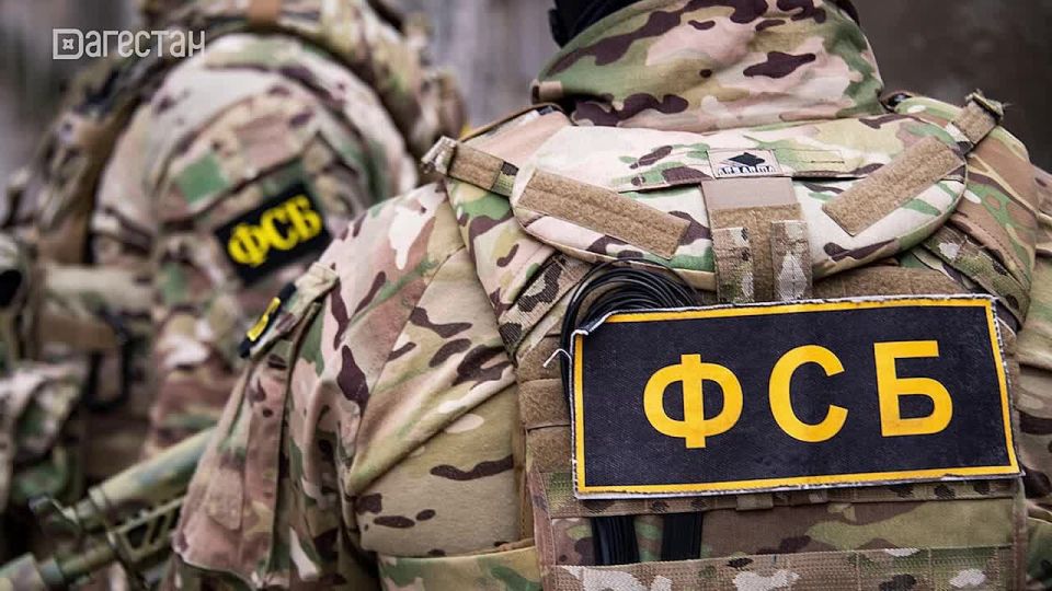 За призывы в мире виртуальном – вполне реальная статья