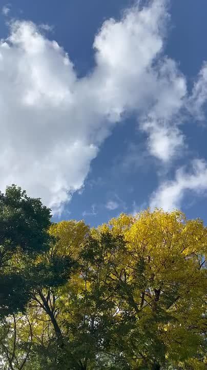      :  ,  ,  ,   ,       :  