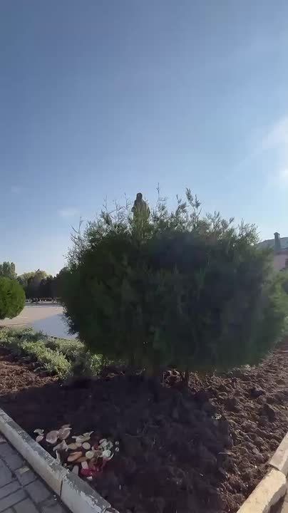 Пожалуйста, хватит превращать городские клумбы и скверы в хлев!!!