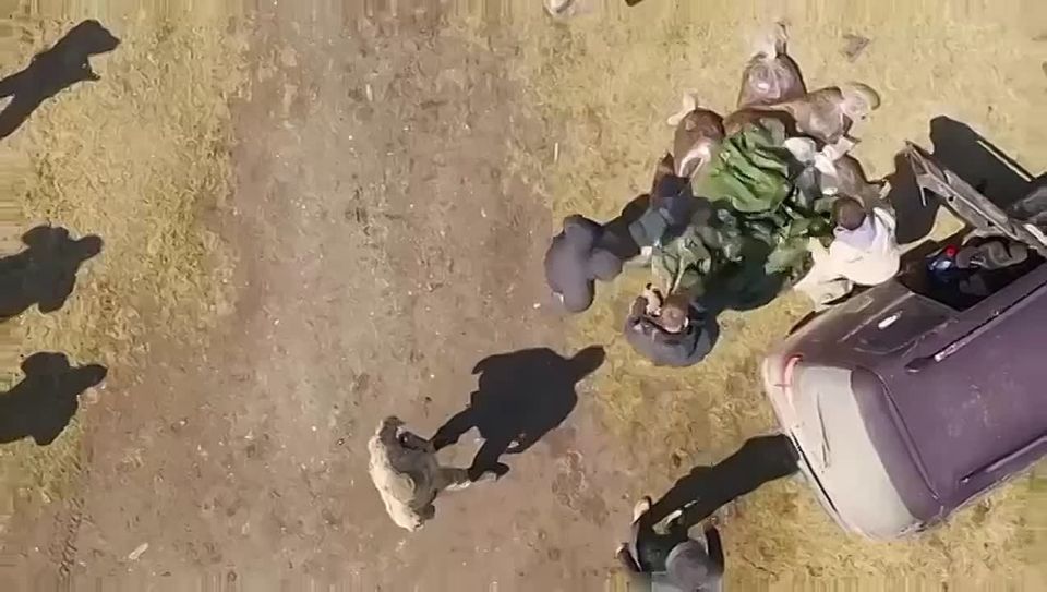 Расследование Эдуарда Петрова