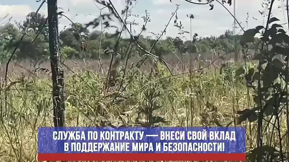 С 20 октября по 8 ноября включительно в Республике Дагестан предусмотрена дополнительная выплата для граждан, заключающих контракт с полком резерва, в размере 2 миллионов рублей