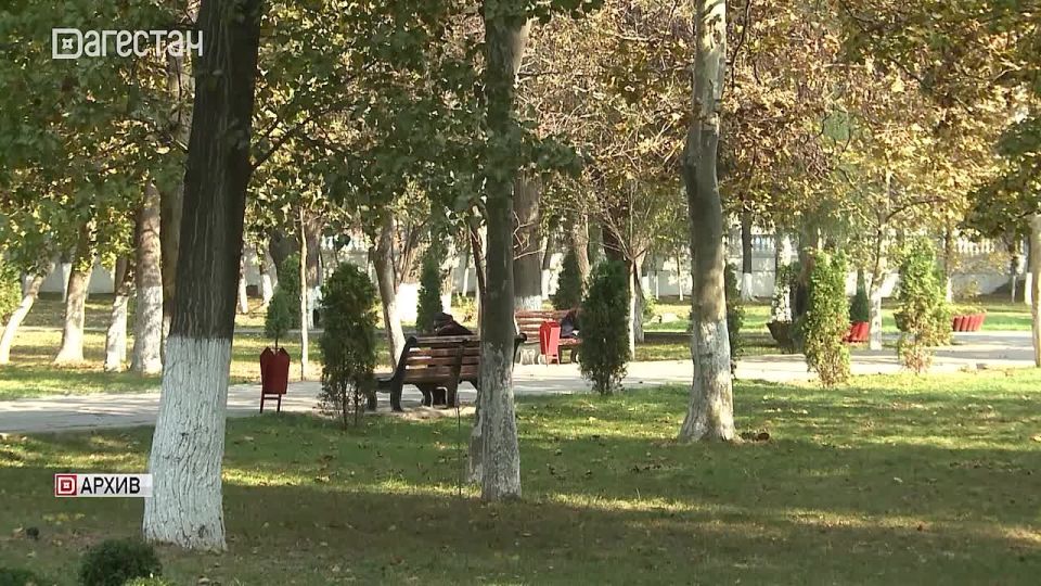 Итак, что делать при атаке беспилотника?