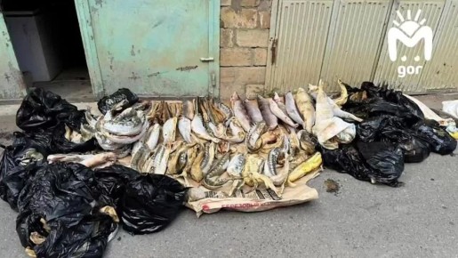 В Дербенте правоохранители предотвратили незаконный оборот ценных биоресурсов