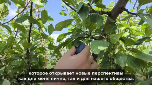 Муниципальные служащие из Дагестана могут подать заявку на III Всероссийскую муниципальную премию «Служение»