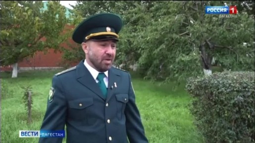 25 октября российские таможенники отмечают профессиональный праздник