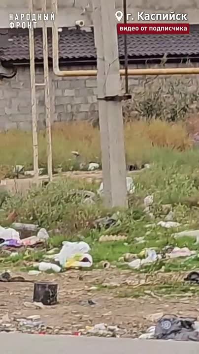 В Каспийске жители бьют тревогу из-за антисанитарной ситуации, сложившейся на перекрёстке 9-й линии Каспийской и улицы Западной