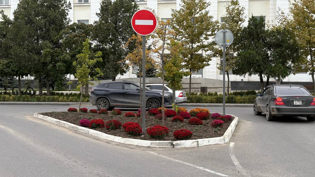 Город, который расцветает благодаря труду специалистов Город, который расцветает благодаря труду специалистов