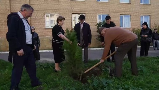 Представители Совета ветеранов города Махачкалы с позитивным настроением озеленили территорию гимназии № 56