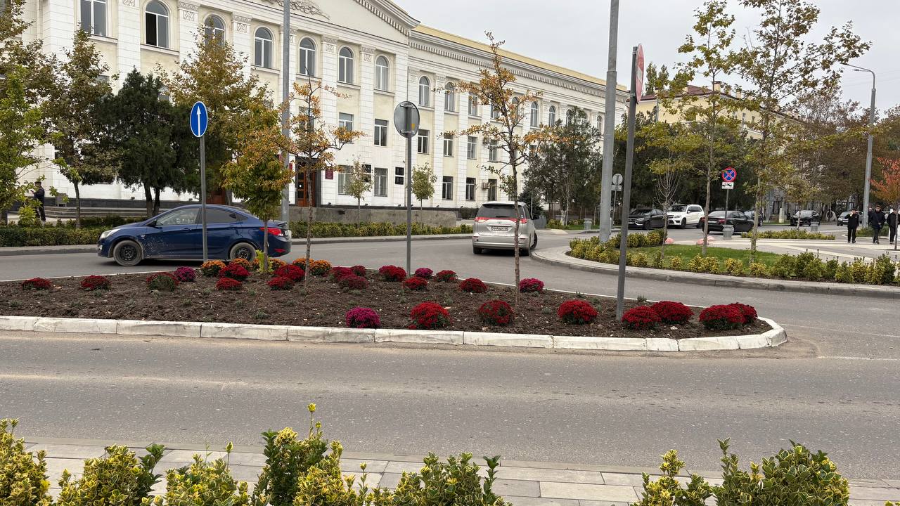 Город, который расцветает благодаря труду специалистов Город, который расцветает благодаря труду специалистов