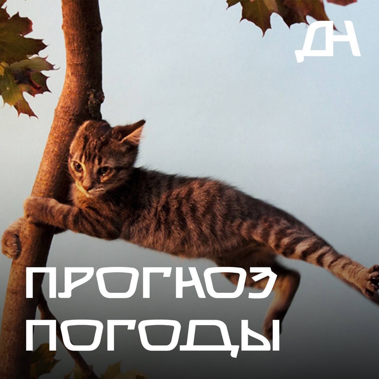 С 18:00 26 октября по 18:00 27 октября 2025 года на территории Республики Дагестан прогнозируются неблагоприятные метеорологические явления (местами грозы