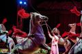 В России планируют запретить использование животных в цирках: новый законопроект на горизонте