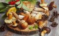 Грибы: как правильно готовить и хранить, чтобы наслаждаться их вкусом круглый год