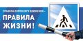 Безопасность на дороге: Основа нашей жизни и здоровья