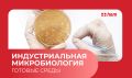 Проверка чистоты: залог безопасности и здоровья на пищевых производствах