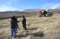 В селе Цилитль Гумбетовского района активно восстанавливают выращивание полбы