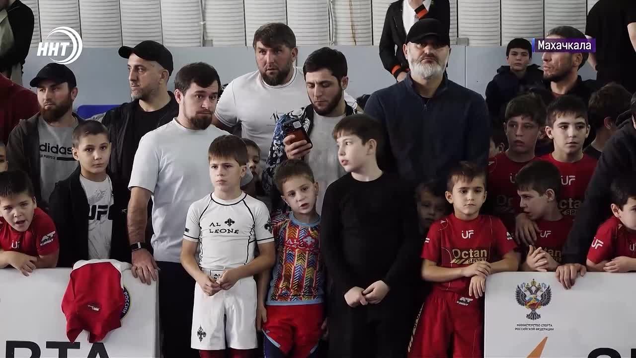 Битва филиалов Universal Fighters