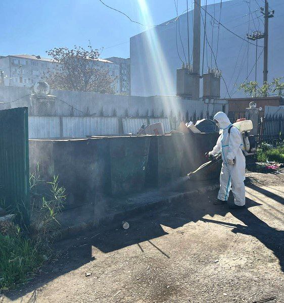 Плановая дезинфекция контейнерных площадок в Махачкале Плановая дезинфекция контейнерных площадок в Махачкале
