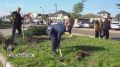 Город Дагестанские Огни стал зеленее на сотни деревьев!