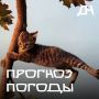 По информации. полученной от ГУ МЧС России по РД в период 12-15 часов и до конца суток 29 октября, ночью и днём 30 октября местами по районам республики Дагестан ожидаются сильные дожди, ливни, в горных районах со снегом в...