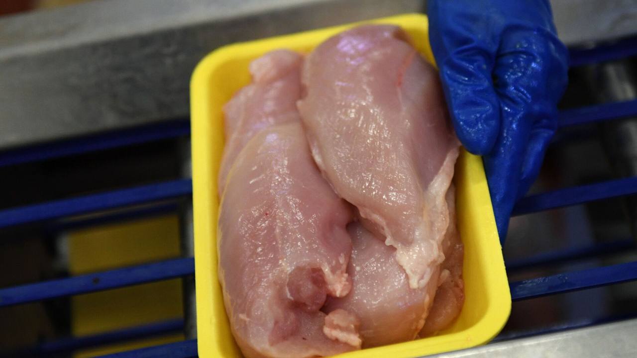 Роспотребнадзор предотвратил поставку заражённой курятины в детские учреждения Дагестана
