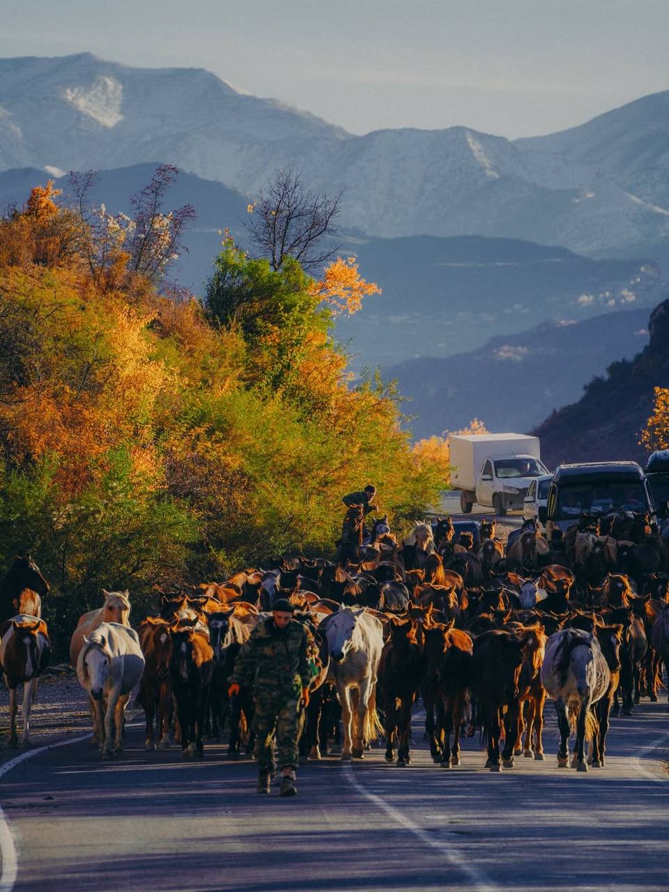 Красивые кадры перегона лошадей с Гунибского района на равнину