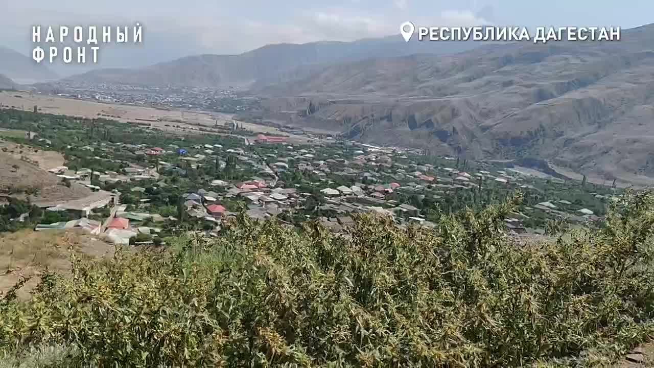 Ашуг из Дагестана, представитель Народного фронта Алихан Магомедрагимов, в День народного единства подарил пронзительное признание своей Родине — России