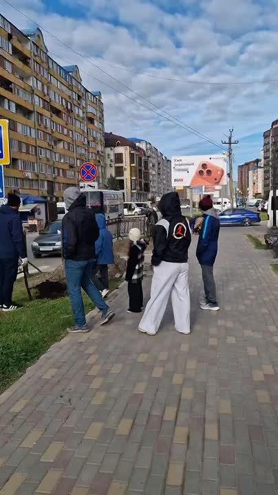 В сквере по ул. Акулиничева 1, сегодня посадили деревья