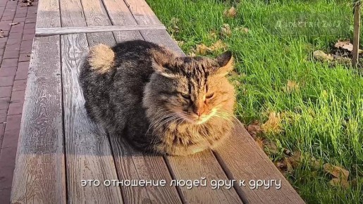 С Днём народного единства!