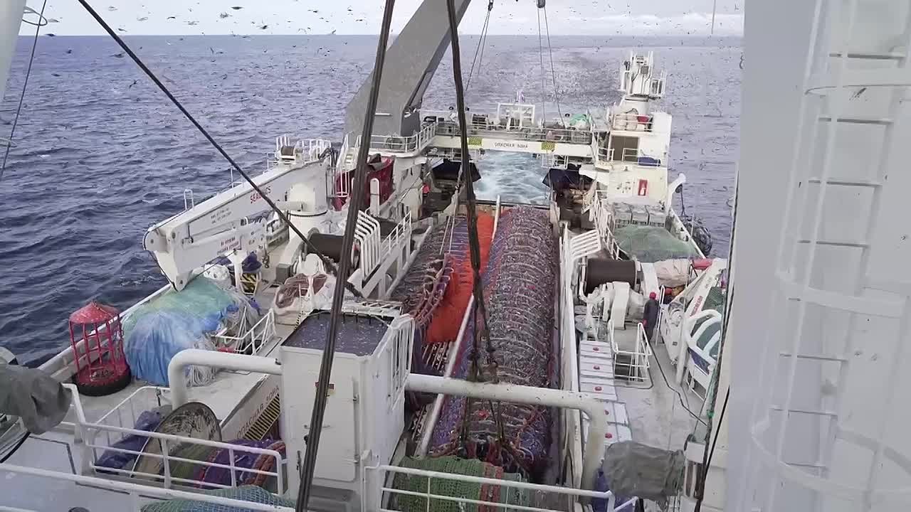 Российские рыбаки освоили свыше 4,1 млн тонн водных биоресурсов