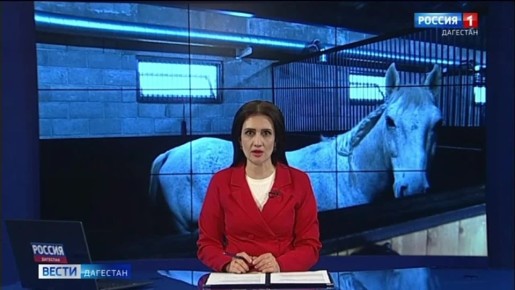 В Дагестане открылся первый на Северном Кавказе сертифицированный и лицензированный конный центр