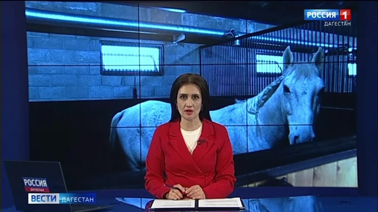 В Дагестане открылся первый на Северном Кавказе сертифицированный и лицензированный конный центр