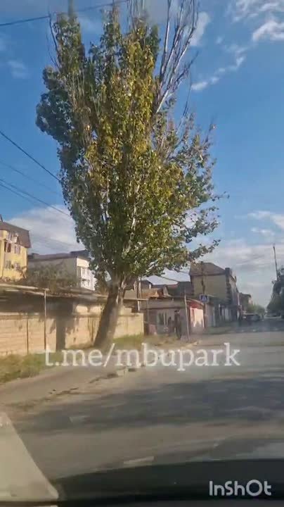 Снимаем риски. Пока омолодили, но к сожалению, как и все тополя очень подвержено гниению и поражениям