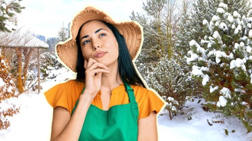 Чтобы весной не потерять урожай: вот что нужно успеть сделать в саду за зиму